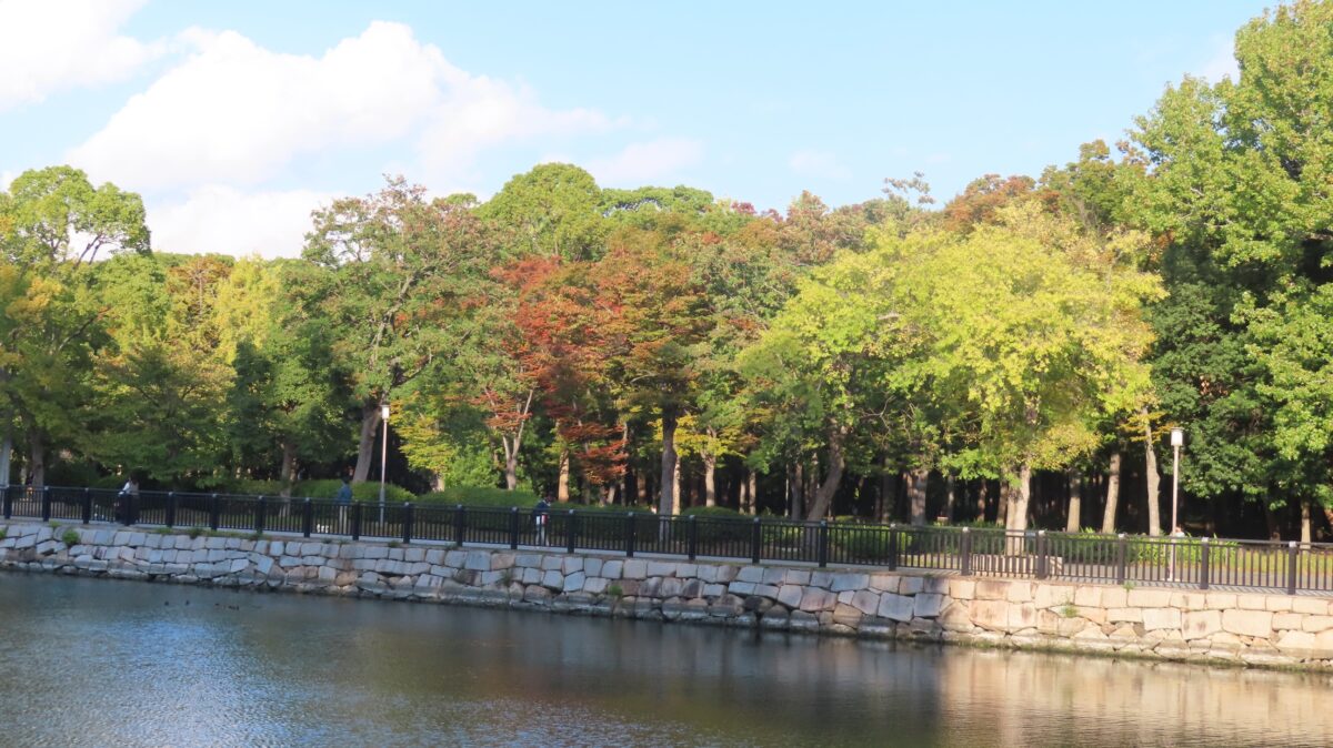 色づき始めの紅葉