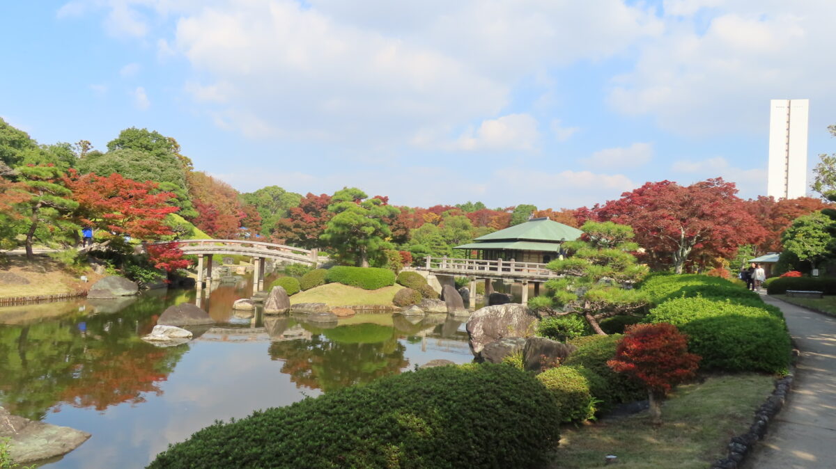 日本庭園全体の景色(2025年11月14日時点)