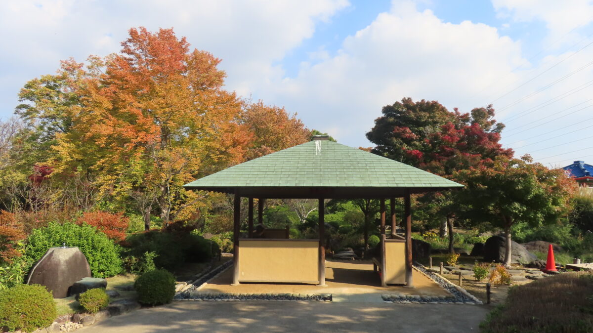 青苔亭付近の紅葉(2025年11月14日時点)