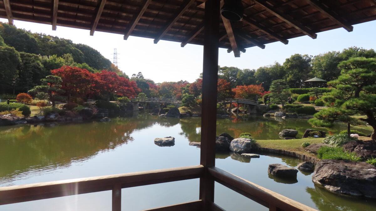 休憩舎の廊下から眺める日本庭園の景観(2025年11月14日時点)