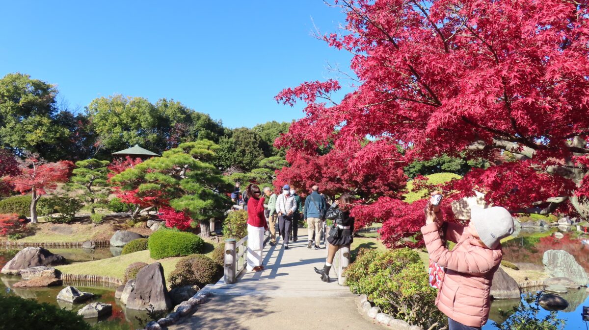 映波橋・印月橋前(2025年11月29日時点)
