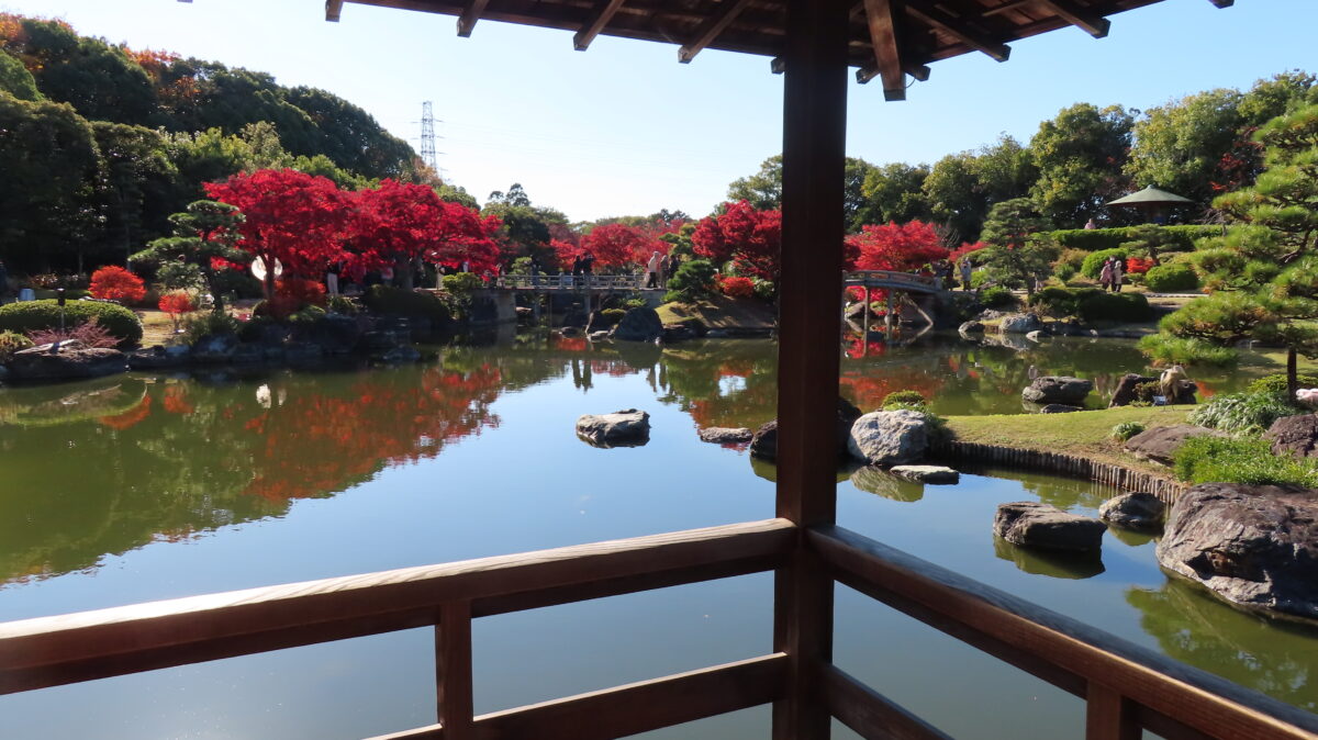 休憩舎の廊下から眺める日本庭園の景観(2025年11月29日時点)
