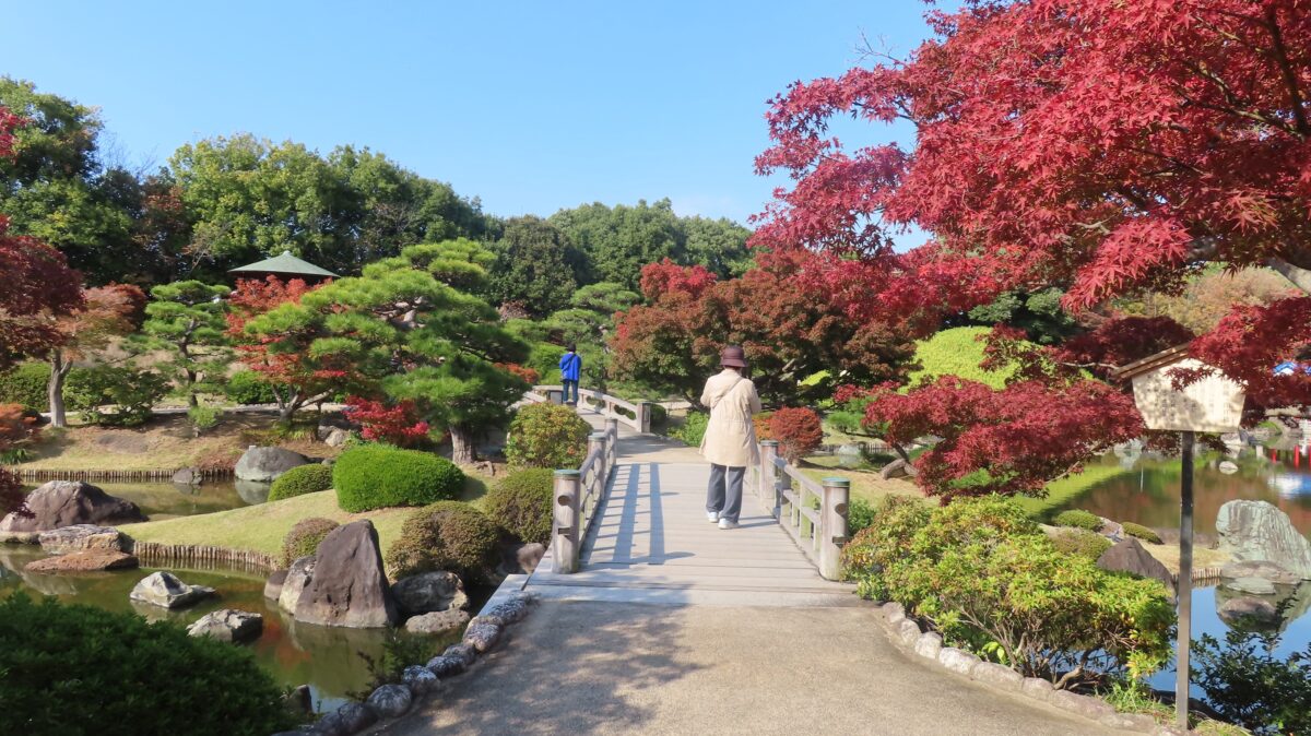 映波橋・印月橋前(2025年11月14日時点)
