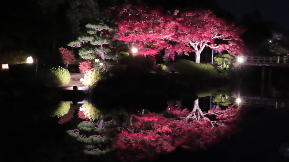 休憩舎の廊下から撮影した逆さ紅葉①