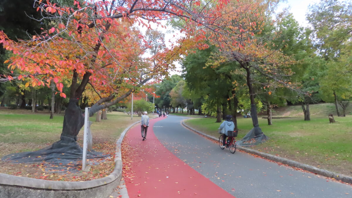 久宝寺緑地のジョギングコース