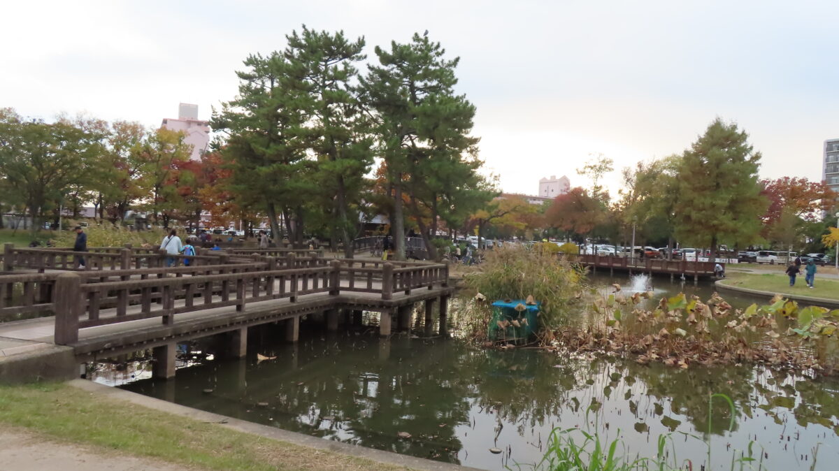 風の広場の池