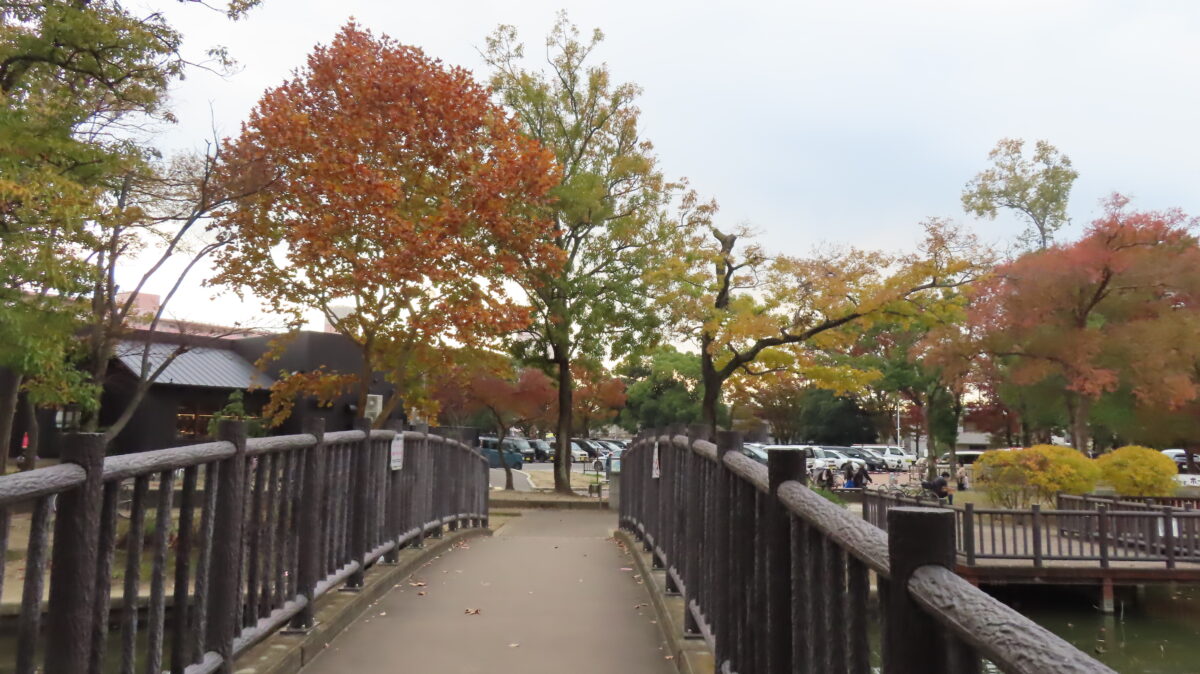 風の広場 橋の上からの景観