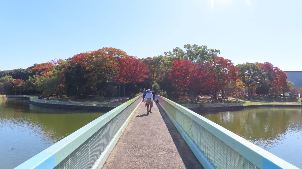 長居植物園の一文字橋