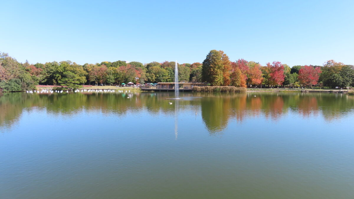 一文字橋からの景観