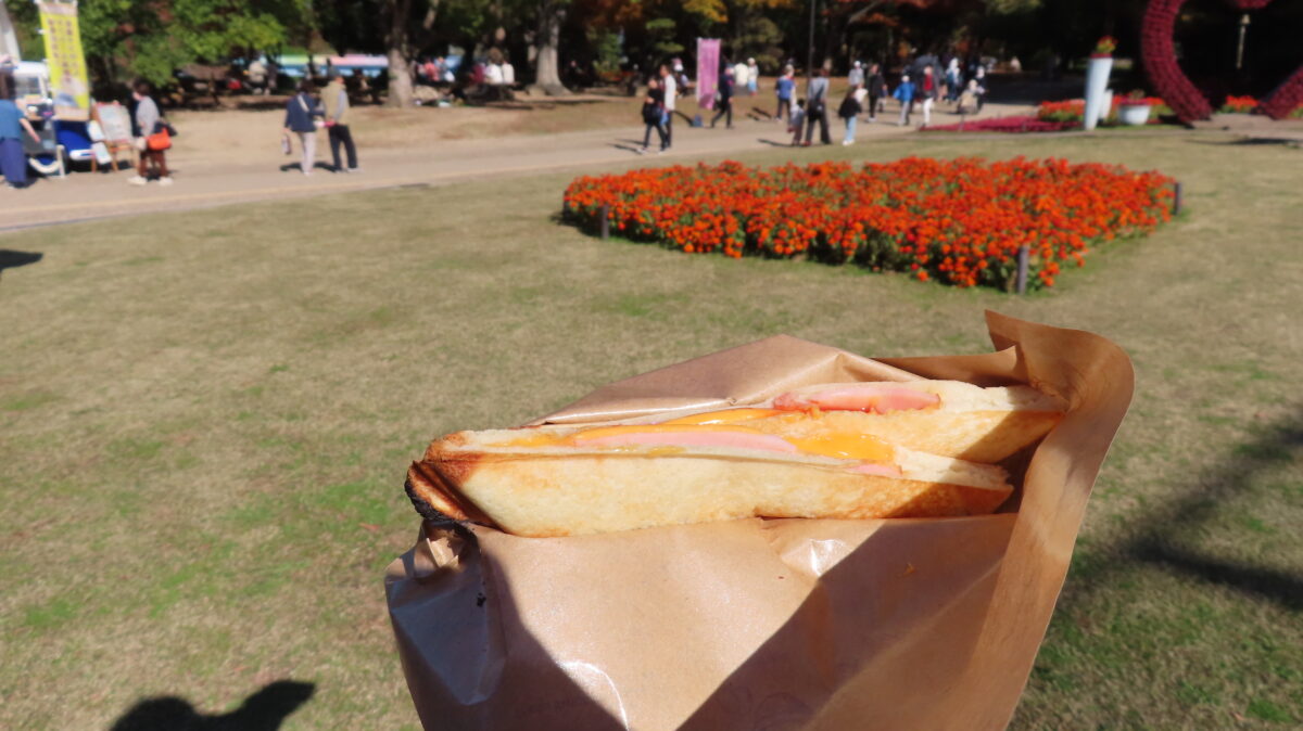 ハムチーズのホットサンド