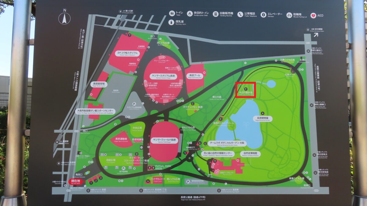 水辺の散歩道(長居公園マップ)