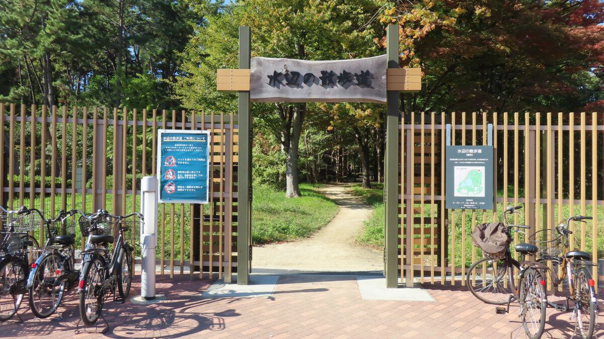 水辺の散策路入口