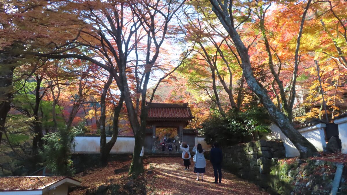 大威徳寺入口の門に続く道