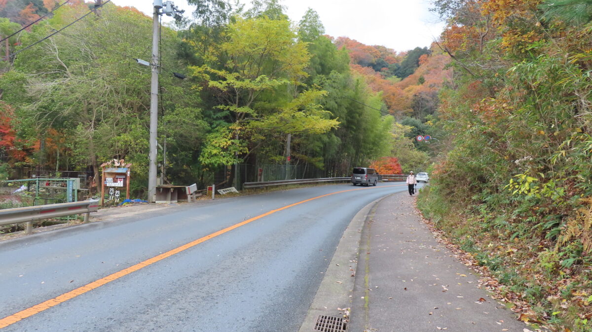 この道路を道なりに進みます！