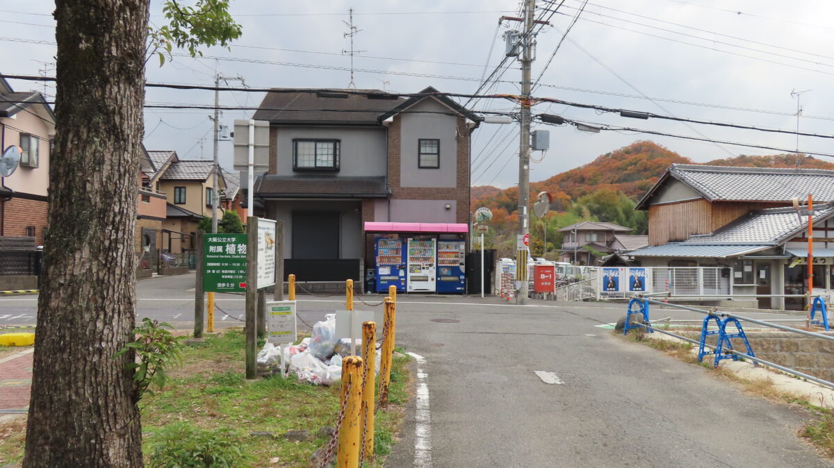 ここの交差点を右へ！