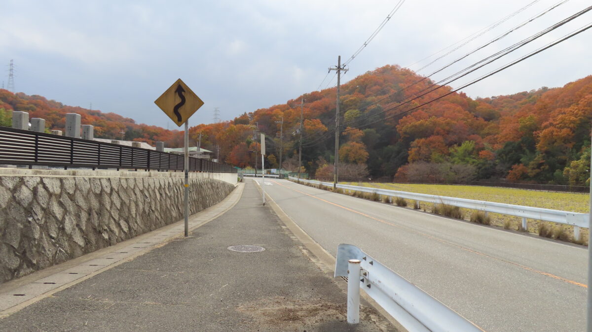 左側にお墓、右に田んぼがある道をまっすぐ！