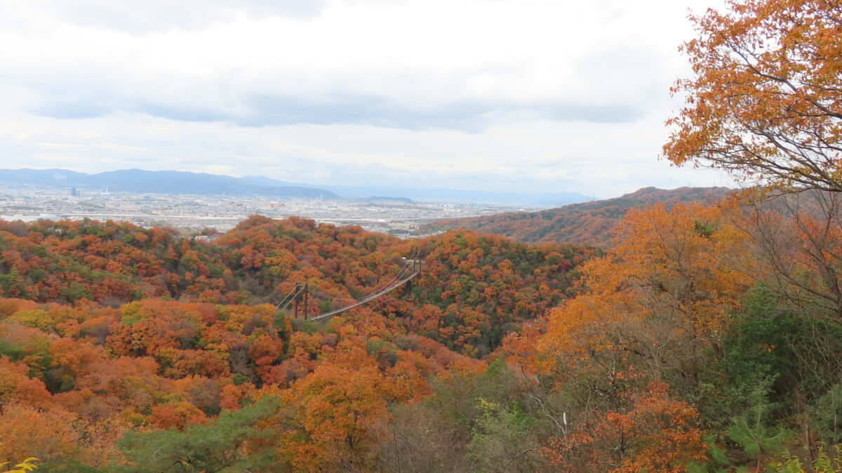 展望デッキからの景観①