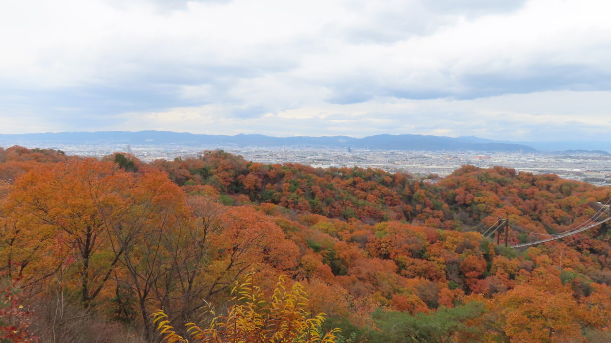 展望デッキからの景観②