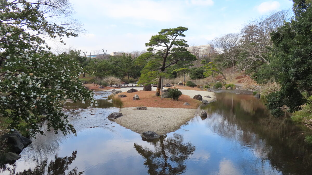 松の洲浜と美しい松の木