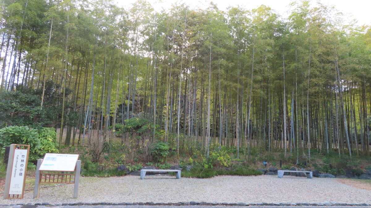 万博公園 日本庭園の竹林の小径
