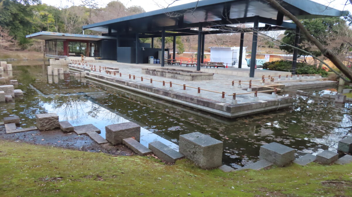 旋律の鯉池を泳ぐ錦鯉