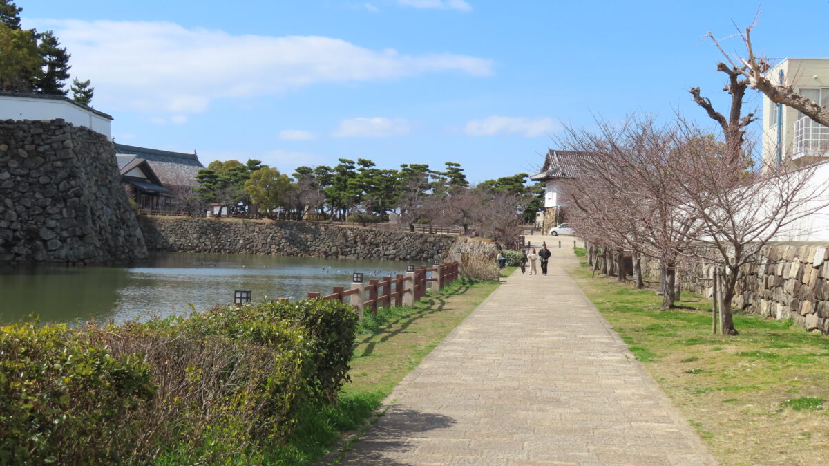 岸和田城のお堀沿い